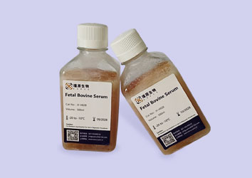 澳洲特级胎牛血清